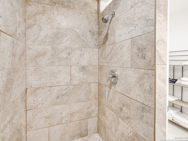 337 W Hackberry St, Fredericksburg, TX 78624 - details with a tile shower