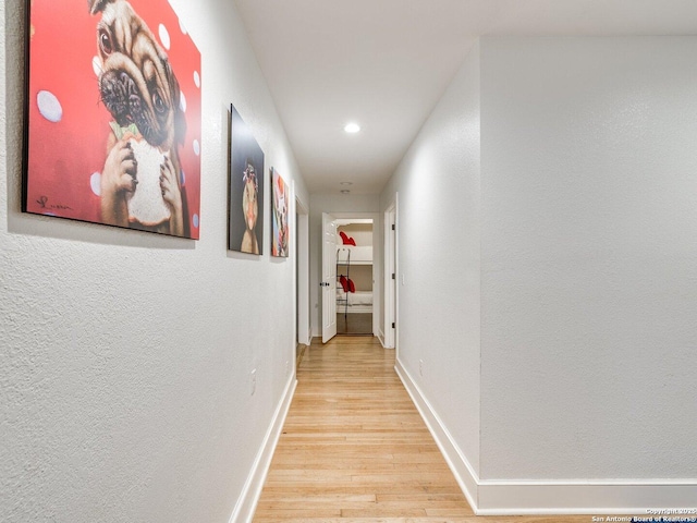 337 W Hackberry St, Fredericksburg, TX 78624 - hallway with light hardwood / wood-style floors