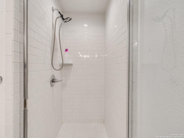 337 W Hackberry St, Fredericksburg, TX 78624 - bathroom featuring tiled shower