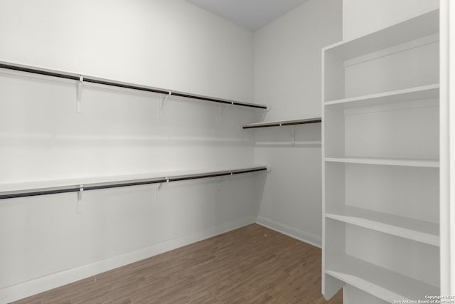 walk in closet with hardwood / wood-style floors