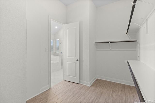 spacious closet featuring light wood-type flooring