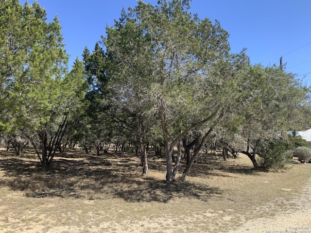 Listing photo 3 for LOT69 Forest Oaks Ln, Lakehills TX 78063