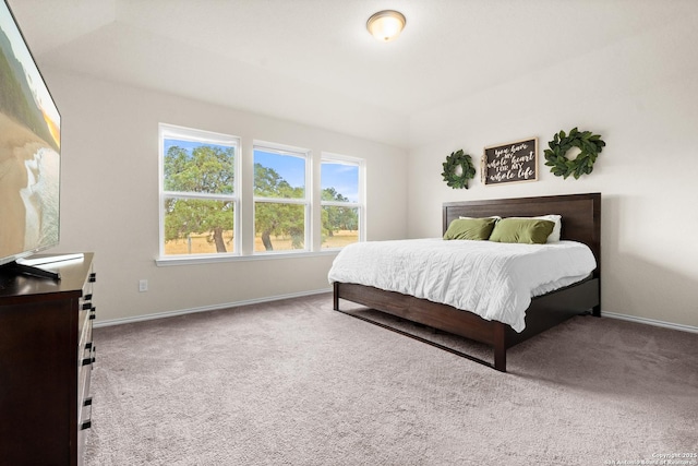 bedroom with carpet flooring