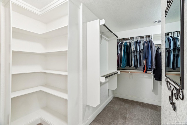 spacious closet featuring carpet flooring