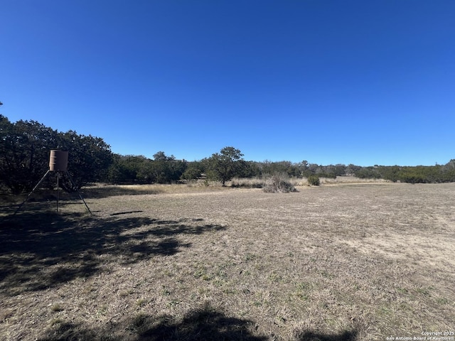 view of yard with a rural view