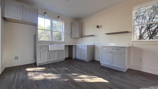 kitchen with dark hardwood / wood-style flooring and sink