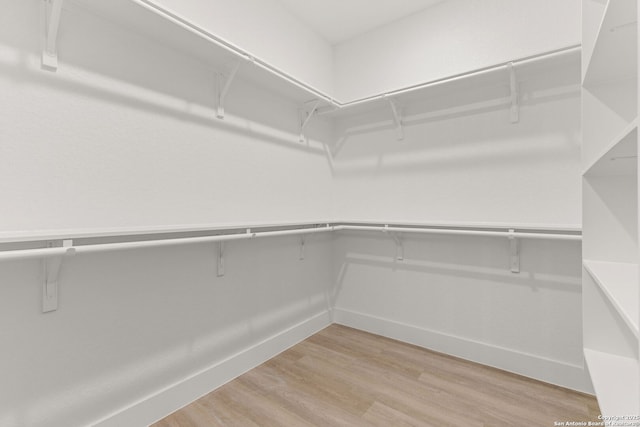 walk in closet featuring light hardwood / wood-style floors