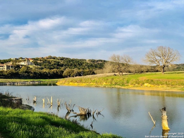 952 Rimrock Cv, Spring Branch, TX 78070 - water view