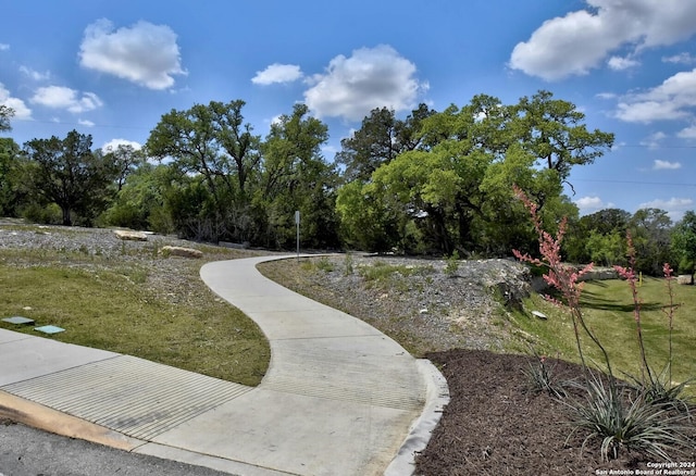 view of home's community featuring a yard