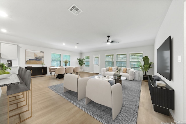 living room with a healthy amount of sunlight and light wood-type flooring