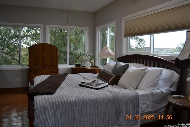 bedroom with dark hardwood / wood-style floors