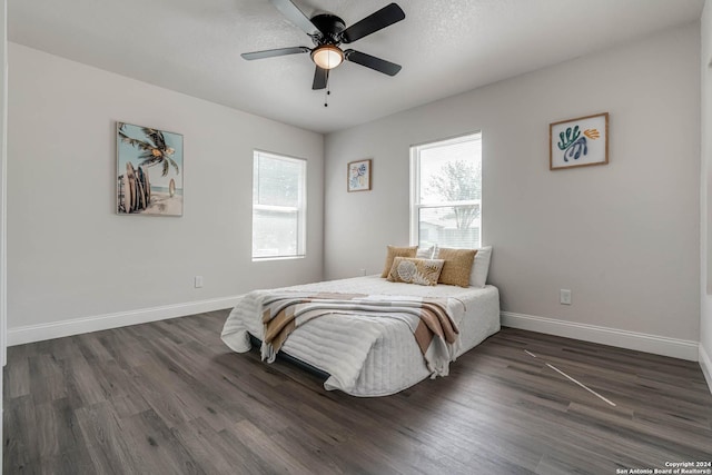 bedroom featuring multiple windows, dark hardwood / wood-style floors, and ceiling fan