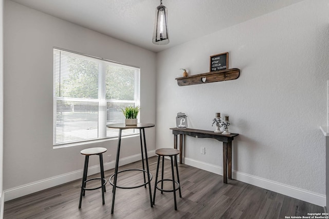 dining room featuring dark wood-type flooring