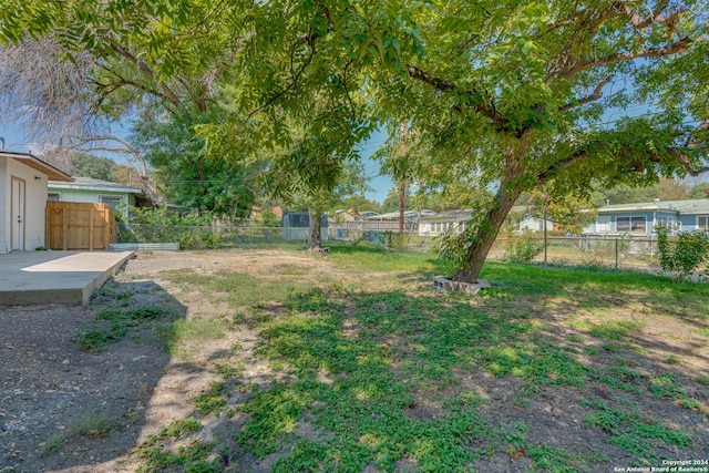 view of yard featuring a patio