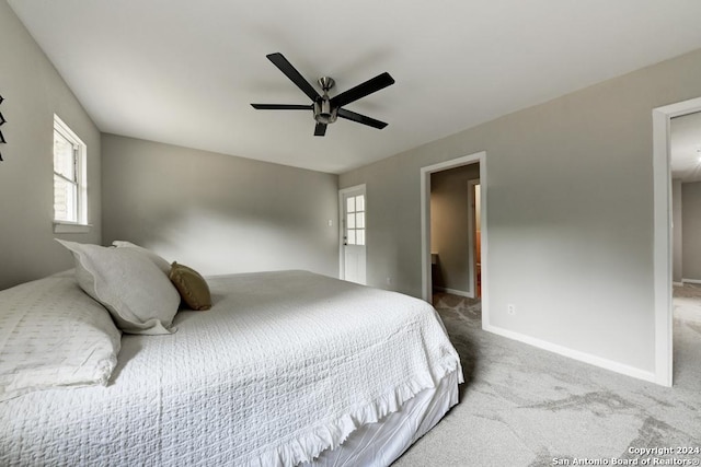 carpeted bedroom with ceiling fan and multiple windows