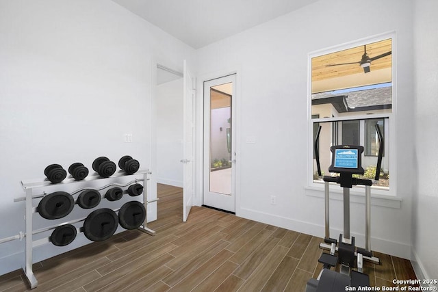 exercise room featuring hardwood / wood-style flooring