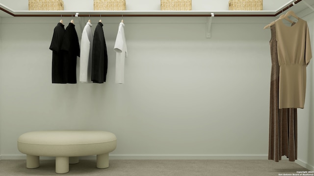 spacious closet with carpet floors