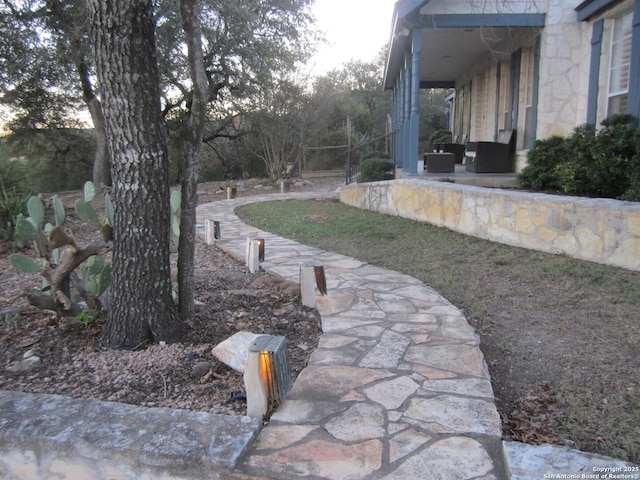 view of yard with a patio area