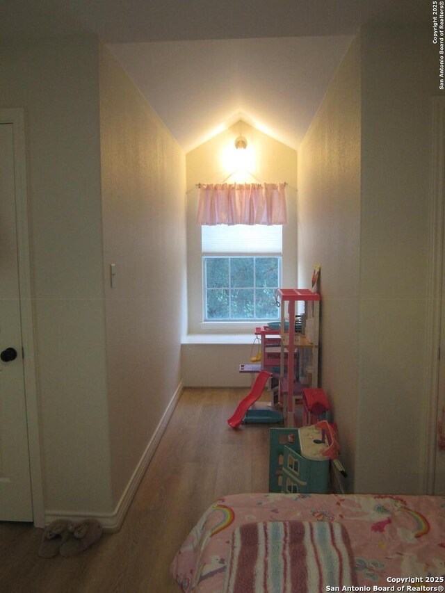 bedroom featuring wood-type flooring