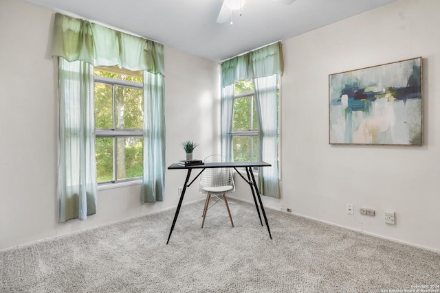 office space with ceiling fan and carpet floors