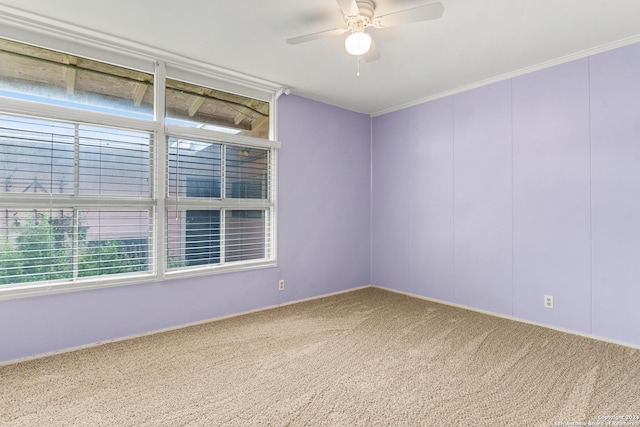 empty room featuring ornamental molding, ceiling fan, and carpet flooring