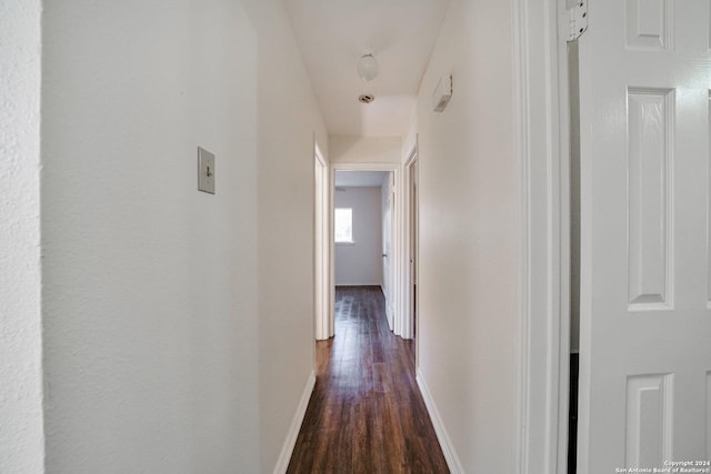 hall featuring dark hardwood / wood-style flooring