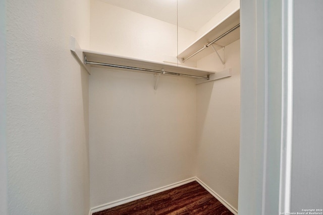 walk in closet with dark hardwood / wood-style flooring