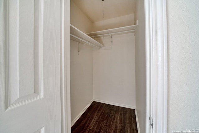 walk in closet with dark hardwood / wood-style flooring