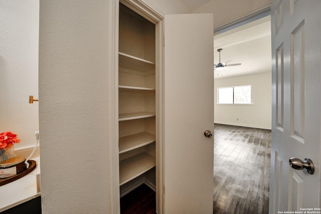 view of closet