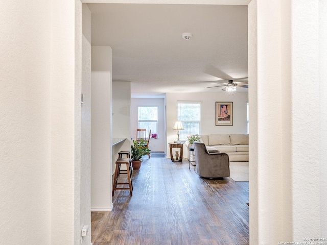 living room with hardwood / wood-style floors and ceiling fan