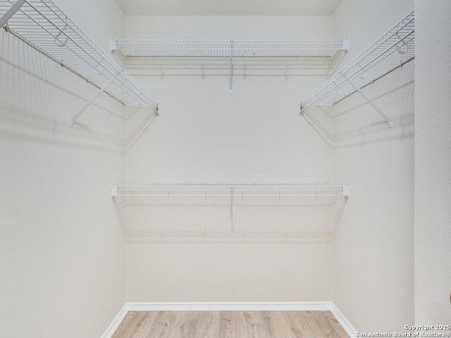 walk in closet with wood-type flooring