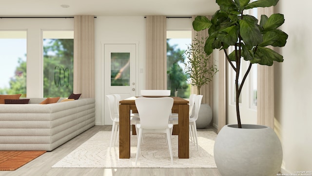 living area featuring light hardwood / wood-style floors