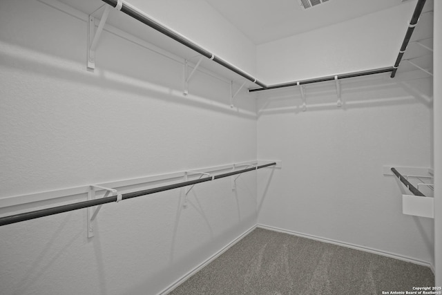 10257 Bartenheim Dr, Schertz, TX 78154 - spacious closet featuring dark colored carpet