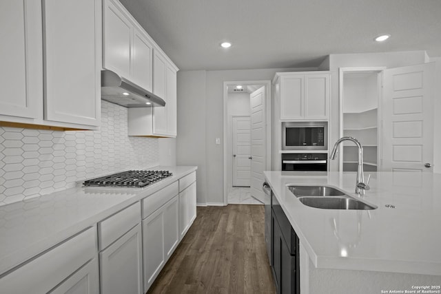 10257 Bartenheim Dr, Schertz, TX 78154 - kitchen with a sink, ventilation hood, appliances with stainless steel finishes, white cabinets, and light countertops