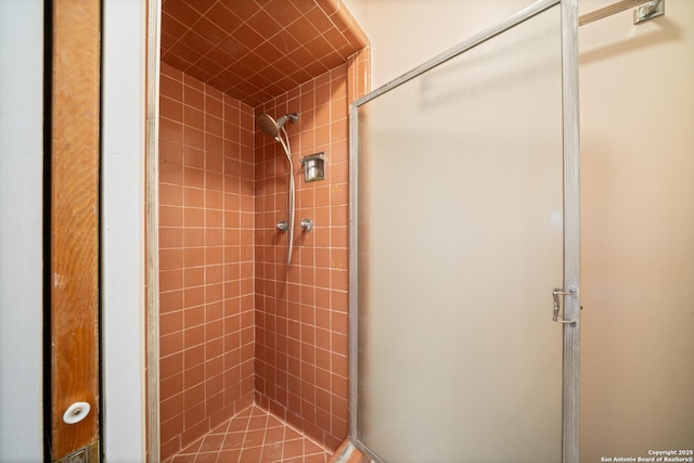 bathroom with an enclosed shower