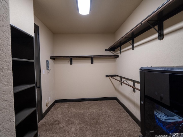 spacious closet with carpet flooring