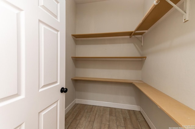 spacious closet featuring wood-type flooring