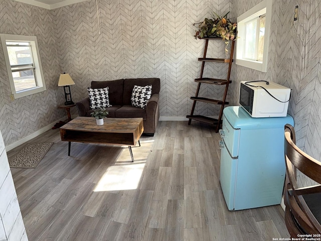 living room featuring light hardwood / wood-style floors