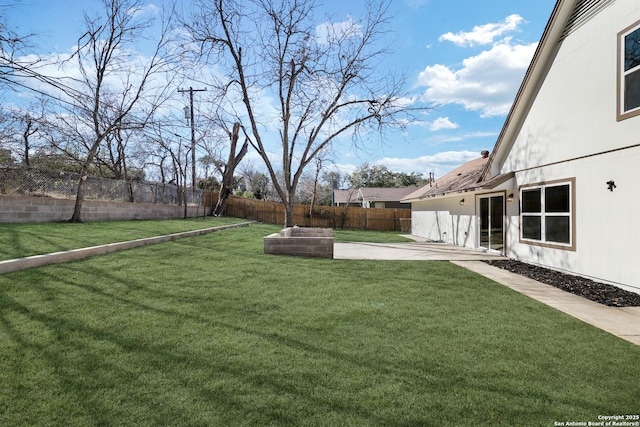 view of yard featuring a patio area