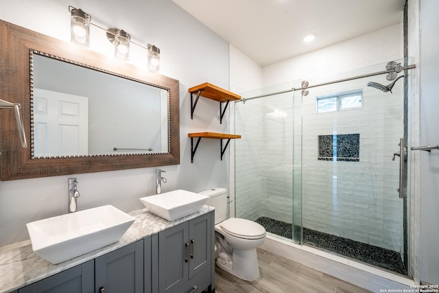 bathroom with vanity, a shower with door, and toilet