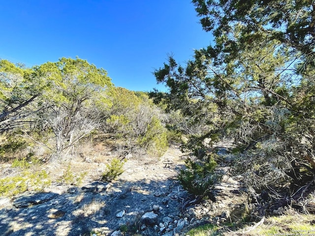 view of landscape