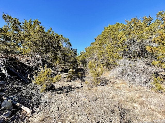 view of landscape