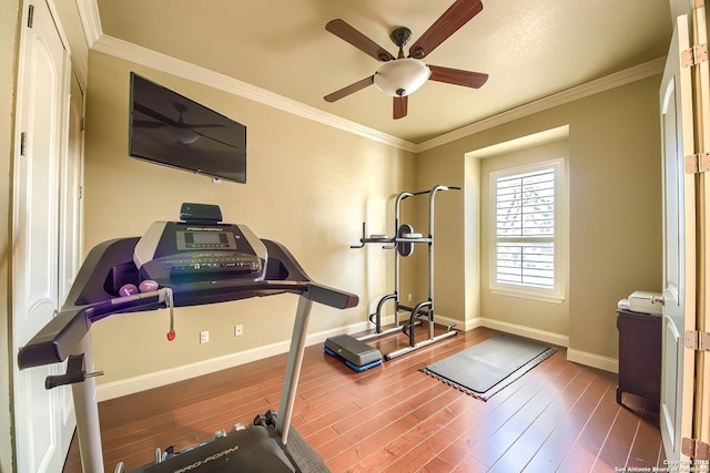 workout area with crown molding, ceiling fan, and hardwood / wood-style flooring