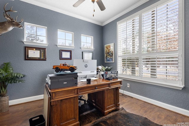 office area featuring dark wood-type flooring, ceiling fan, and ornamental molding