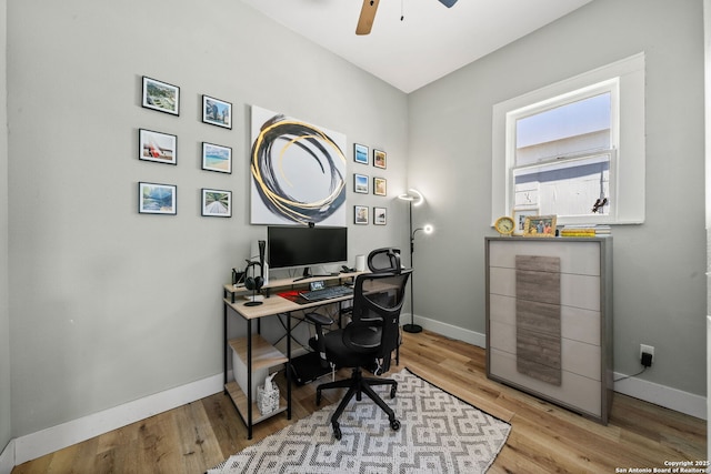 office with ceiling fan and light wood-type flooring