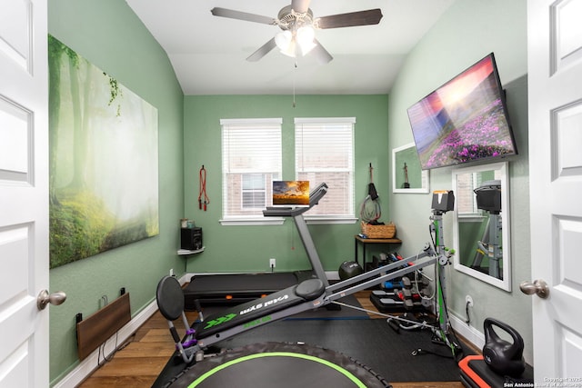 exercise area featuring ceiling fan and hardwood / wood-style floors