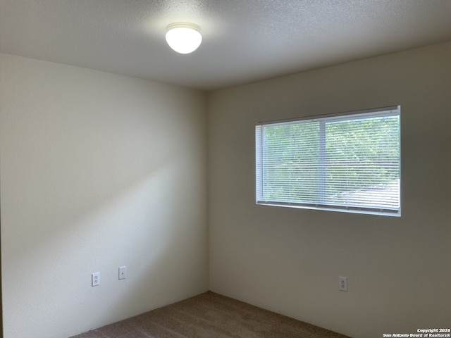 unfurnished room with carpet flooring and a textured ceiling