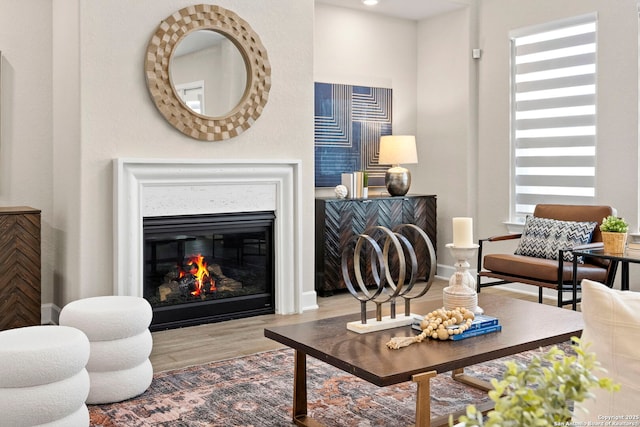 living room with light hardwood / wood-style floors