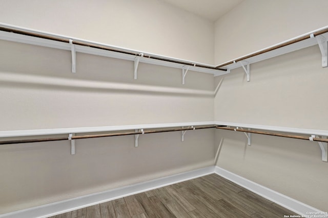 spacious closet featuring dark hardwood / wood-style floors