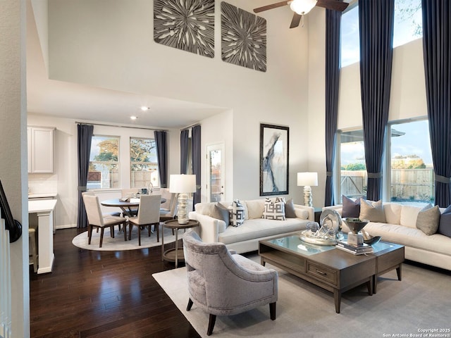 living room with hardwood / wood-style flooring, a wealth of natural light, and a towering ceiling